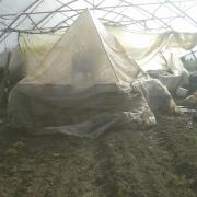 20140223 Pyramide de dynamisation utilisée en serre à plants