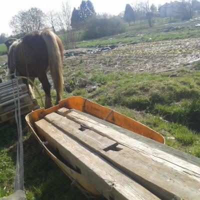 Transport de poutre en bois en traineau