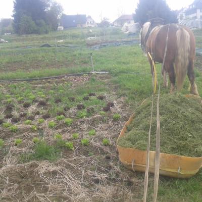 Transport de pelouse pour mulcher en traineau
