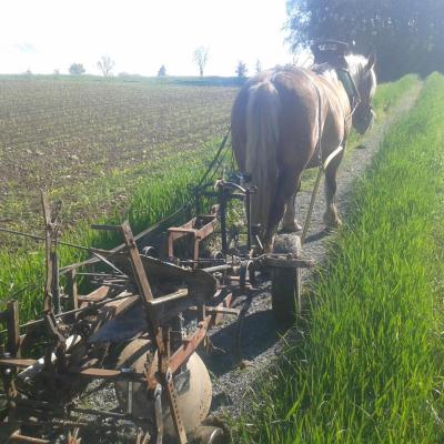 Nouveau porte-outil 4 roues auto-construit l'hiver 2013