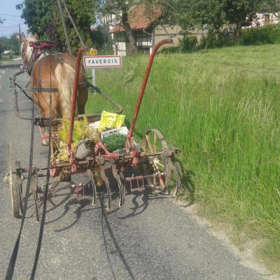 Arrivée à Faverois avec la bineuse