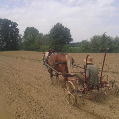 Bineuse dirigeable 2 rangs, retour à vide en bout de champ