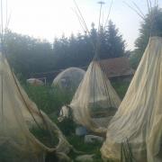 20140603 Mini-serres tipis en tour electroculture