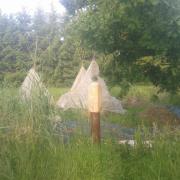 20140603 Tipi tour electroculture et tour de basalte