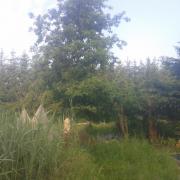 20140603 Tipi tour electroculture et tour de basalte