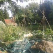 20140714Tour électroculture sur terrain humide