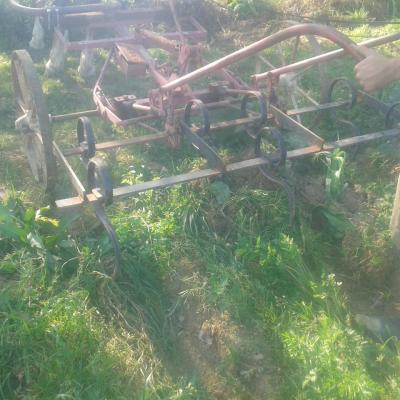 Binage des carottes avec la bineuse dirigeable Bové pour 2 billons