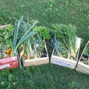 Paniers  du 14/07/17