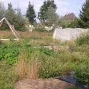 Le jardin début août