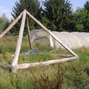 Le jardin début août