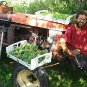 Le jardin début août