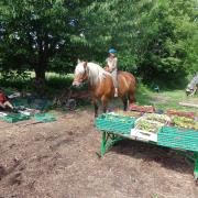 Planter des patates avec Agathe