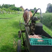 Planter des patates avec Agathe