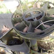 Planter des patates avec Agathe