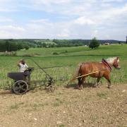 Planter des patates avec Agathe