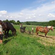 Planter des patates avec Agathe