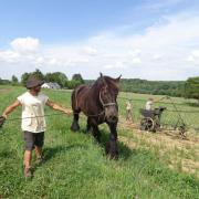 Planter des patates avec Agathe
