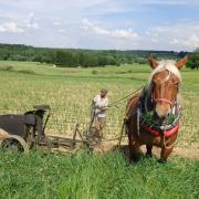 Planter des patates avec Agathe