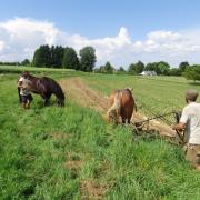 Planter des patates avec Agathe