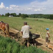 Planter des patates avec Agathe