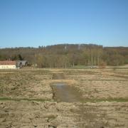 Parcelle principale de Manspach