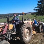 Recolte de 4 tonnes de pommes de terre 