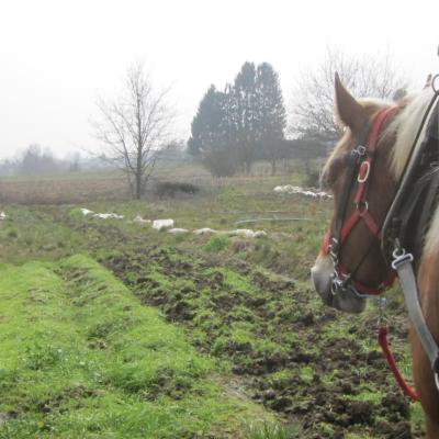 Reprise d'un sol enherbé avec des griffes équipées de pattes d'oie