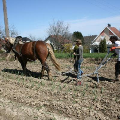 Houe-sine auto construite