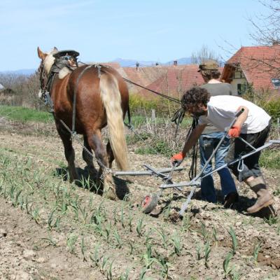 Houe-sine auto construite