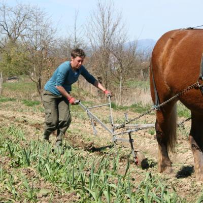 Houe-sine auto construite