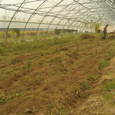 Kassine vibro-sarcleur Préparation du tunnel