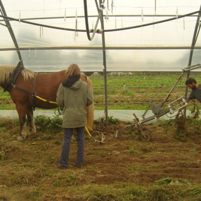 Kassine vibro-sarcleur Préparation du tunnel
