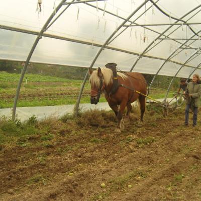 Kassine vibro-sarcleur Préparation du tunnel