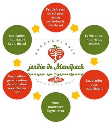 003 jdm logo fonction