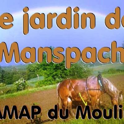 12355270 1106692809362835 718901682 n 1