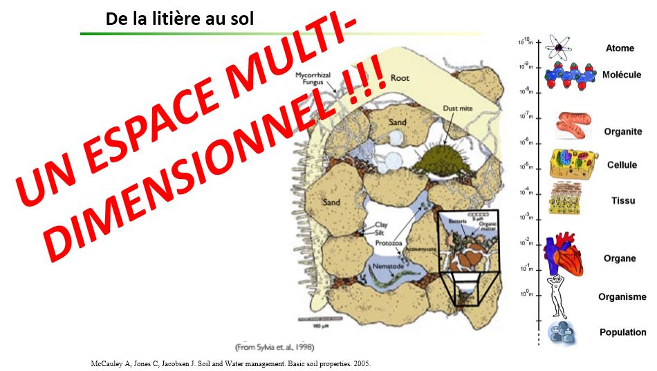 Espace multidimensionnel