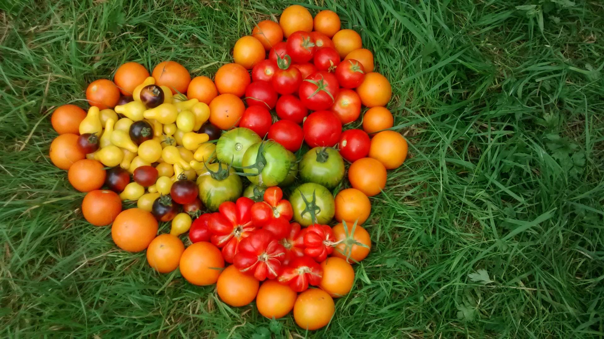 Img 20170801 154539597