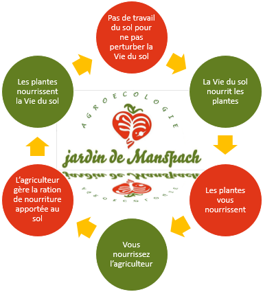 Logo jardin et fonctions 1