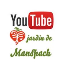 Chaîne YouTube MSV